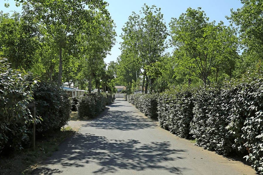Flower Camping Le Rochelongue