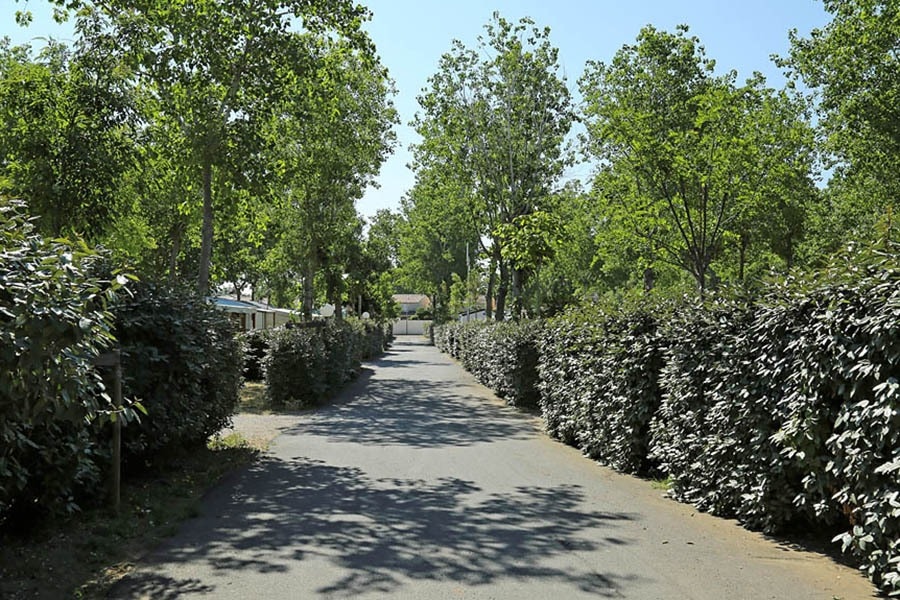 Flower Camping Le Rochelongue