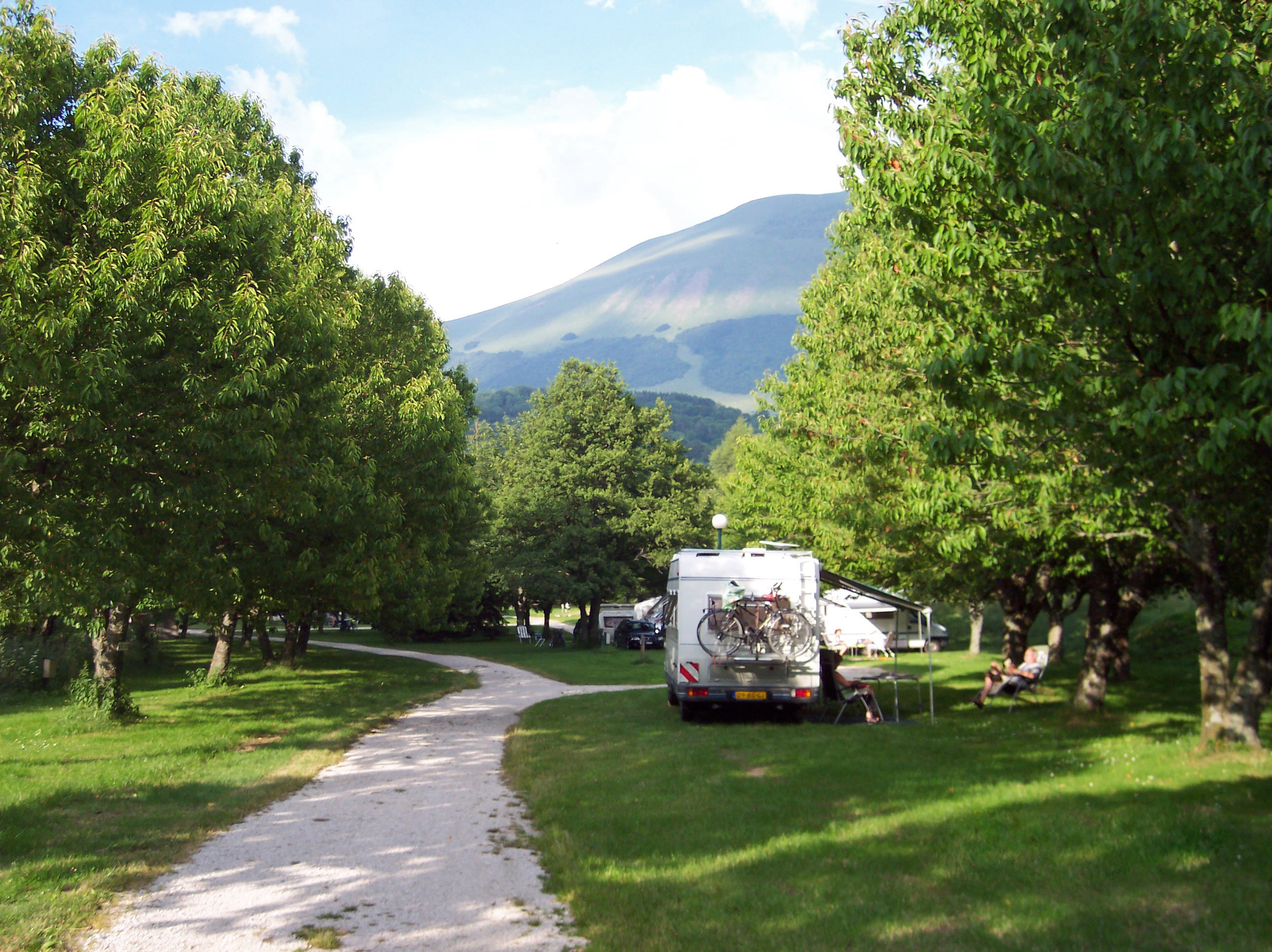 Flower Camping Ser Sirant