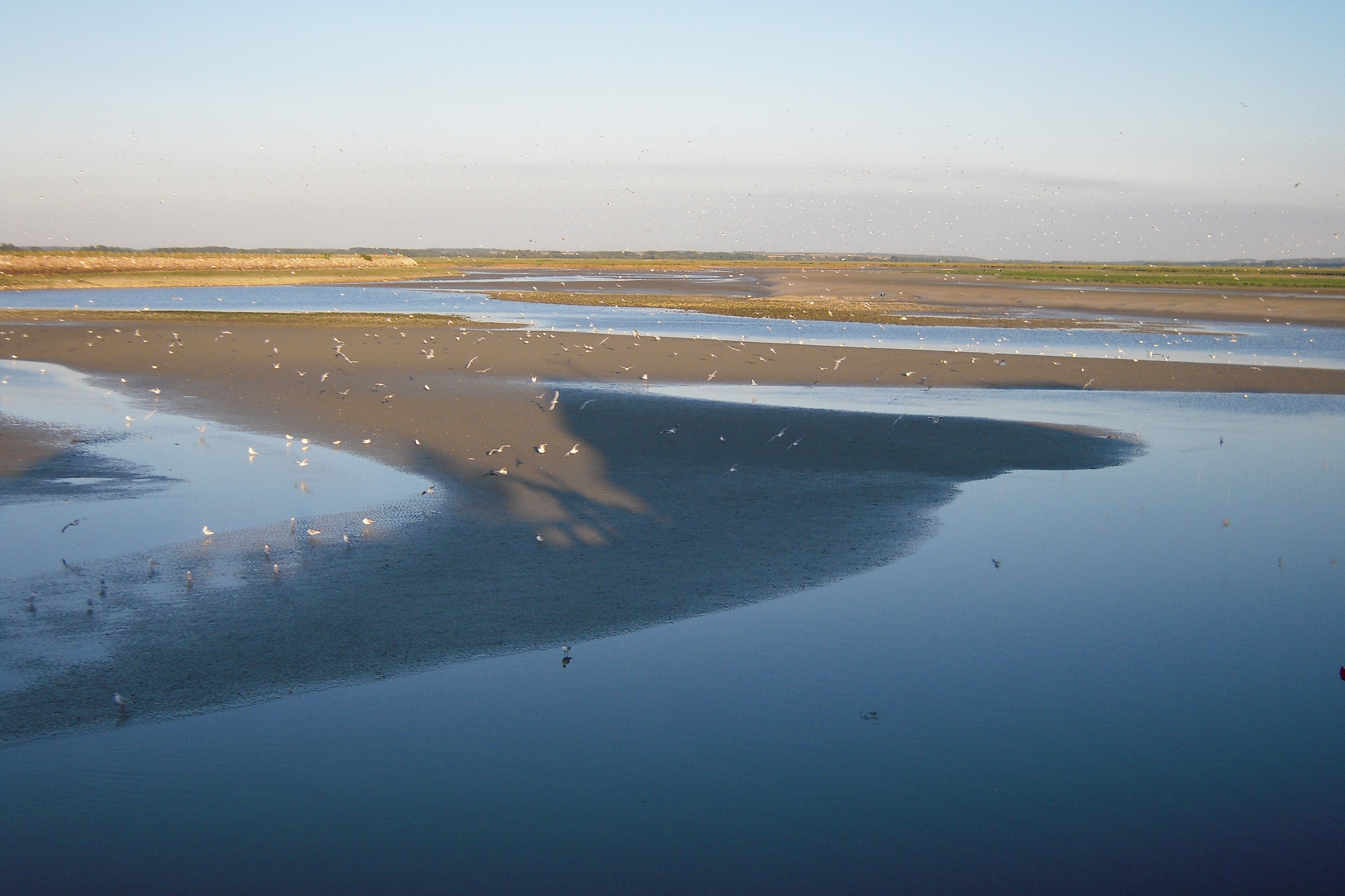 Flower Camping Les Aubépines
