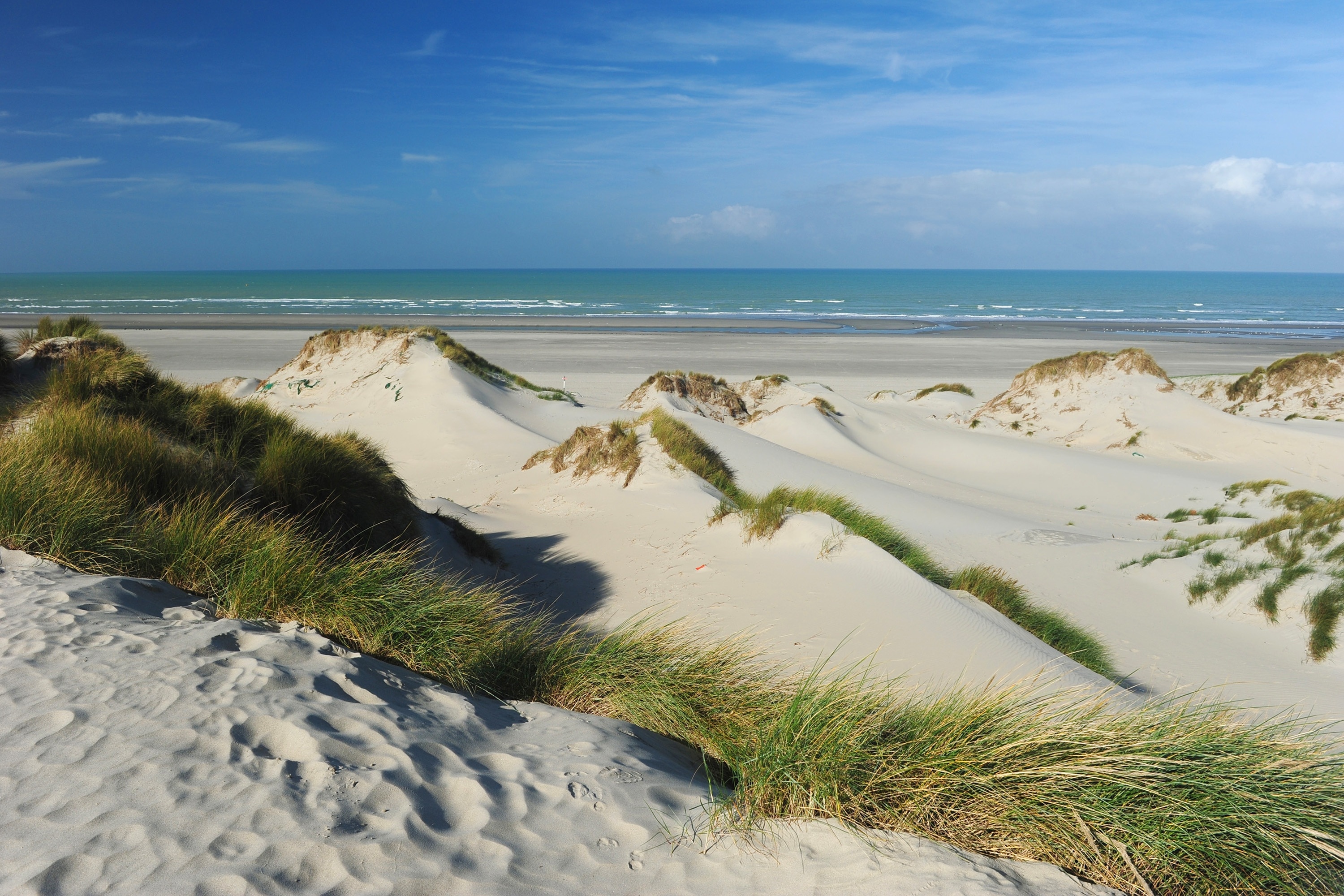 Flower Camping Les Aubépines