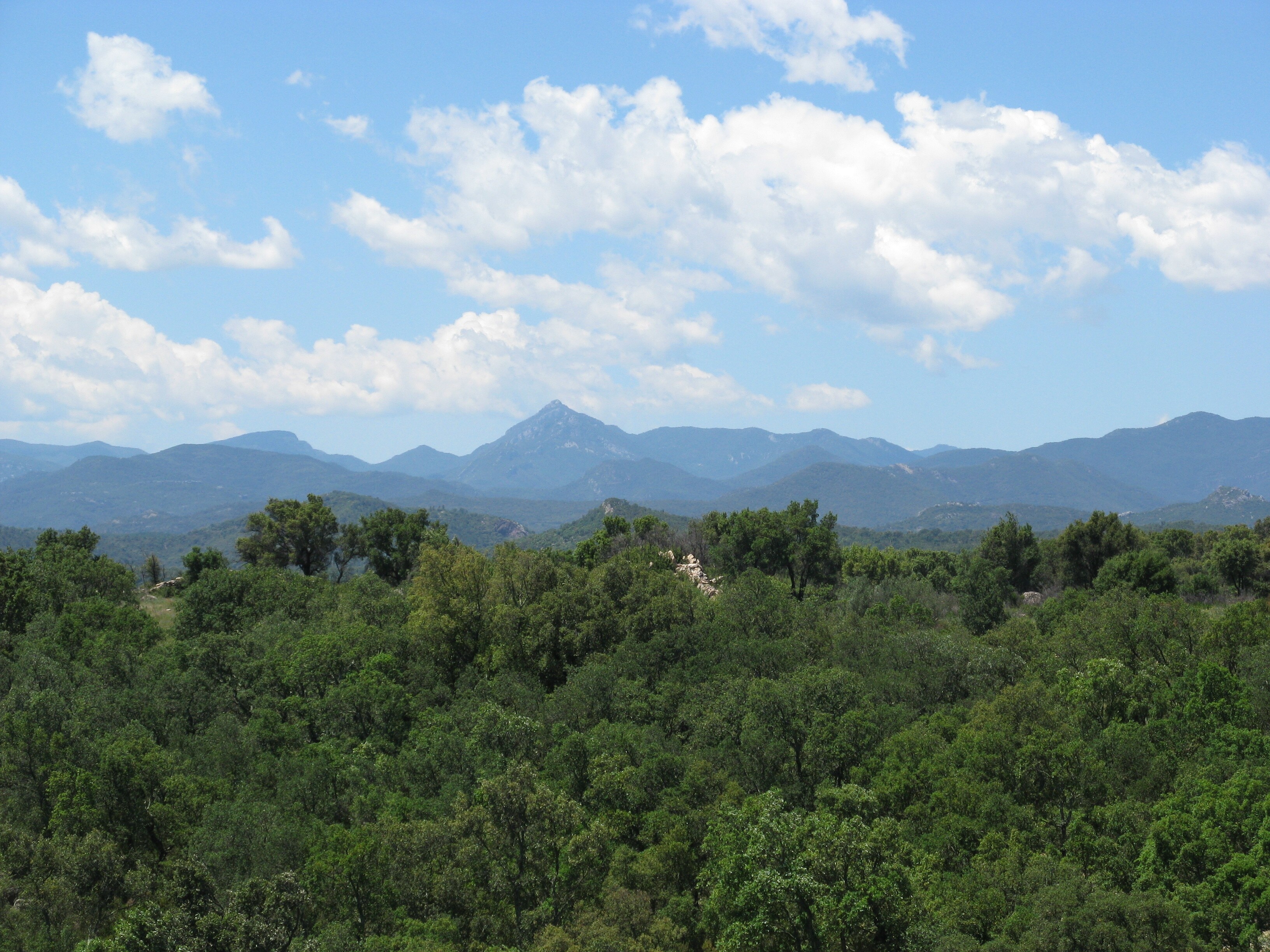 Camping l'Albera