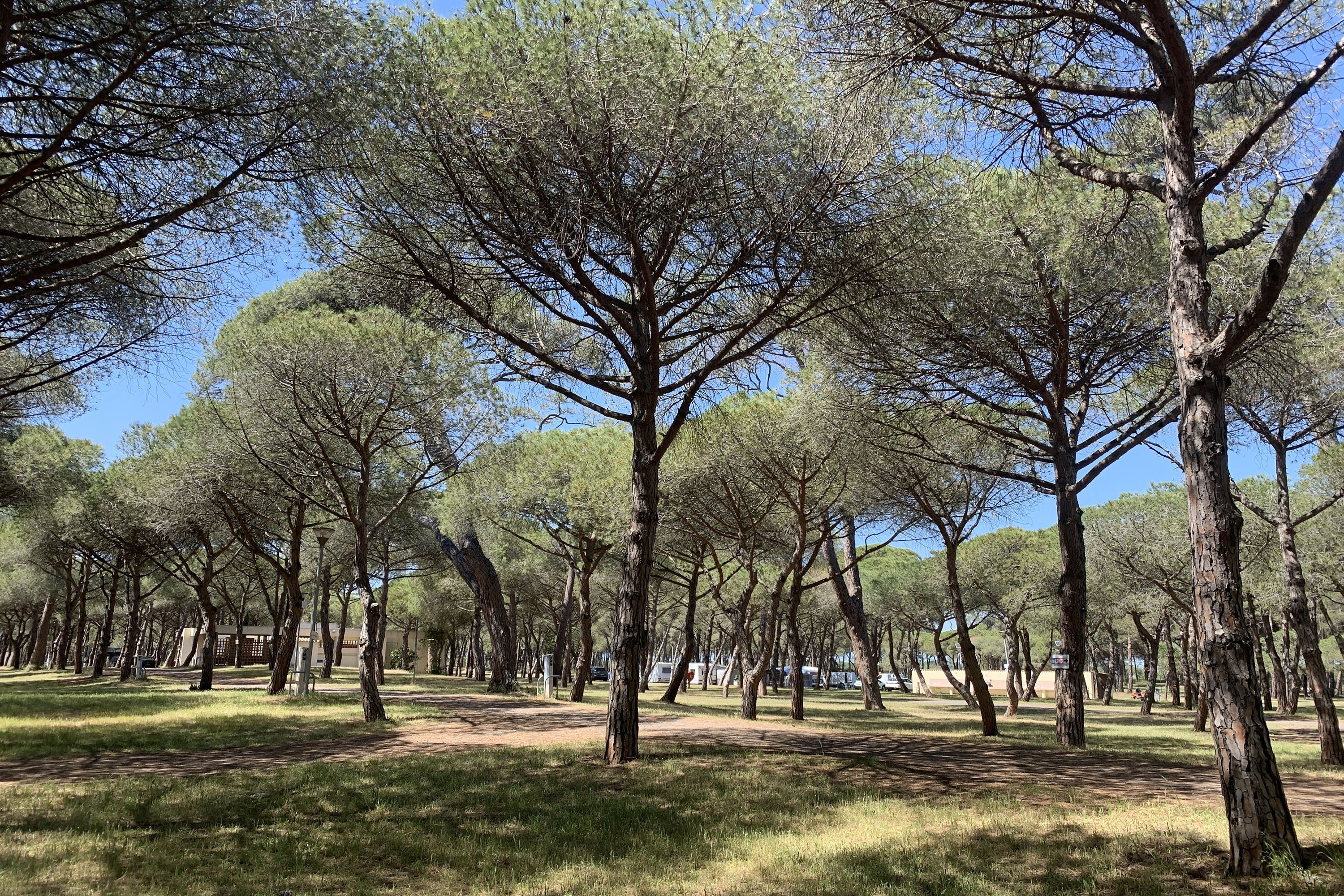 Camping La Tamarissière