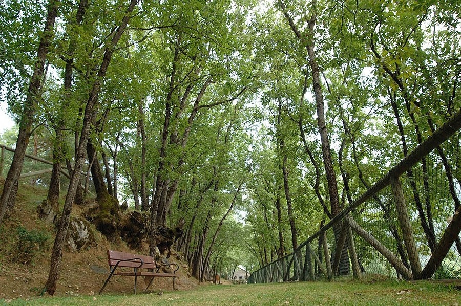 Camping Gavín S.L.