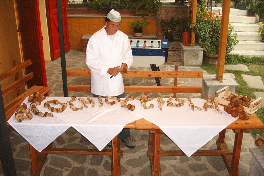 Camping Ecochiocciola