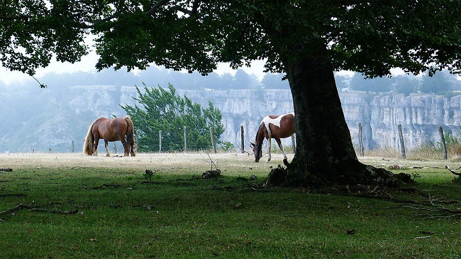 Camping Urbasa