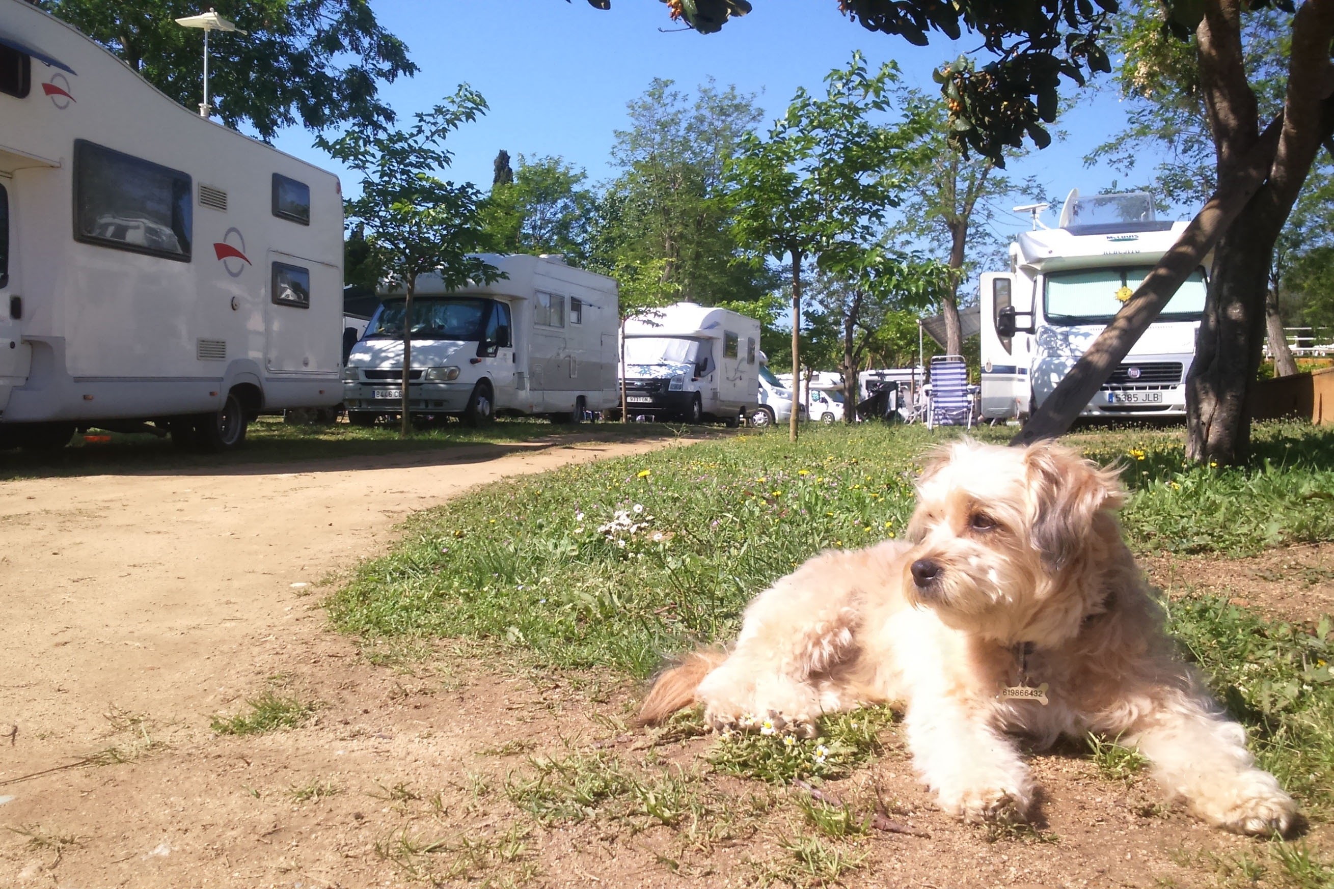 Camping Lloret Blau