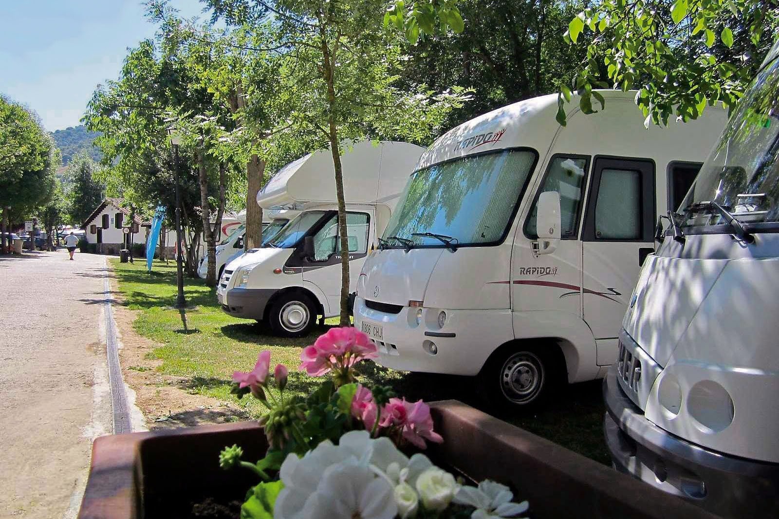 Camping San Pelayo