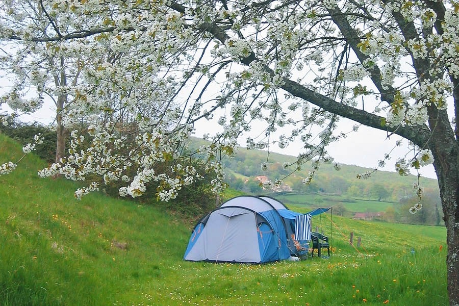 Flower Camping Le Lac de Saint-Point