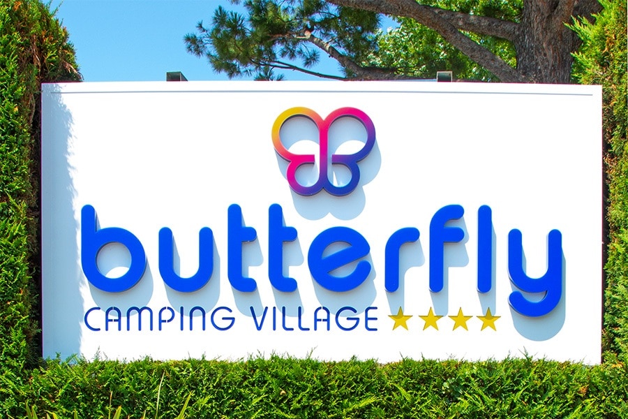 Camping Butterfly