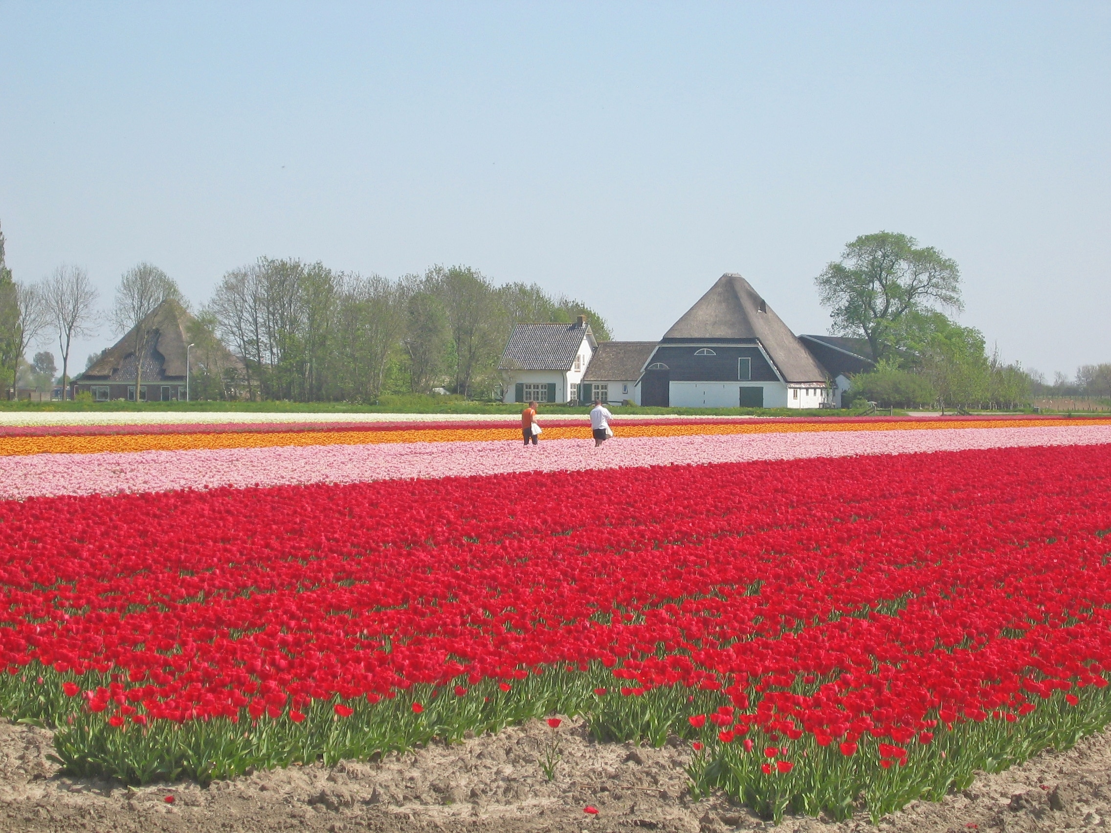 Camping De Boekel