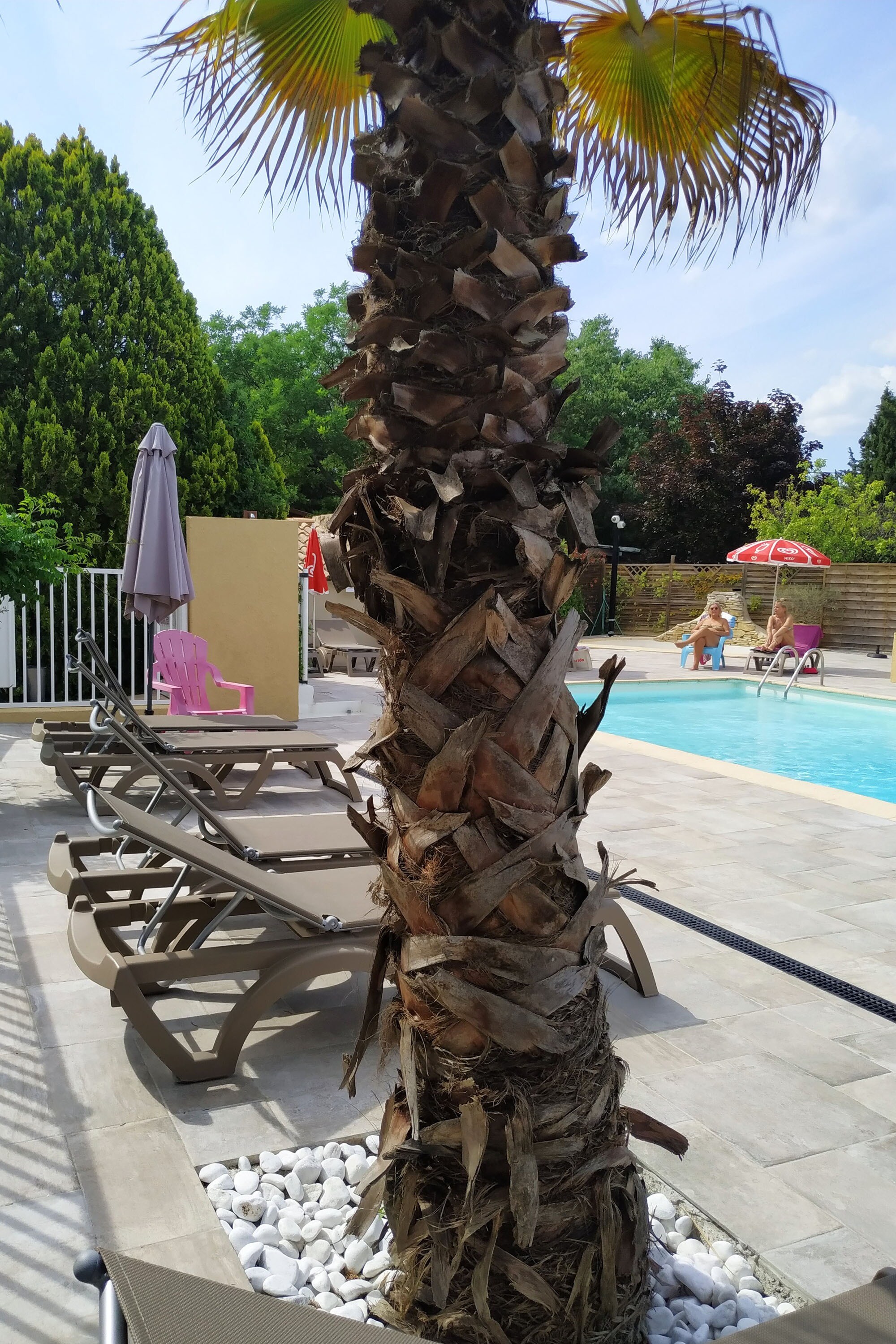 Camping L'Olivier