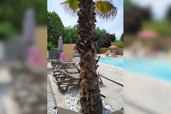 Camping L'Olivier