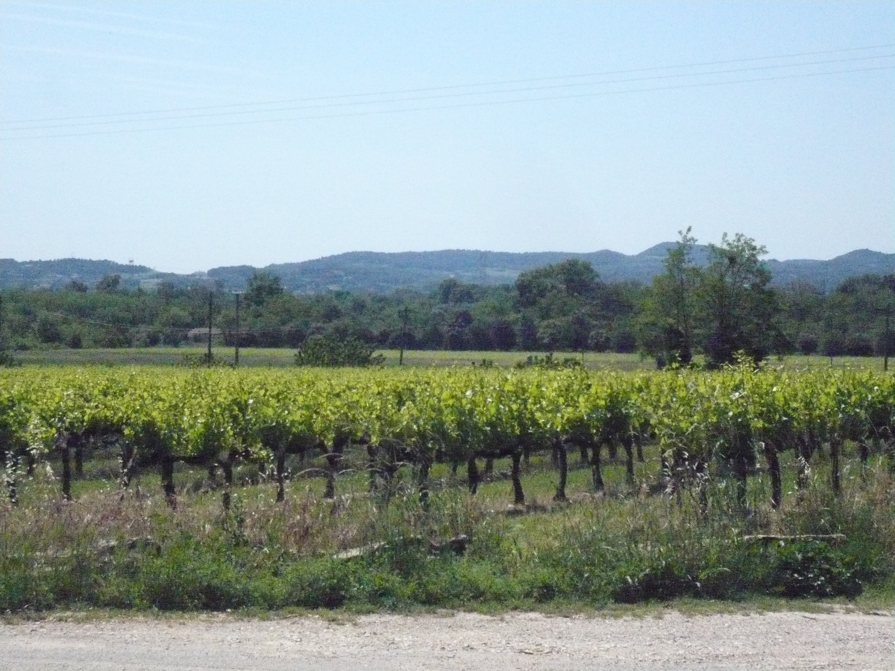 Camping Le Pontet
