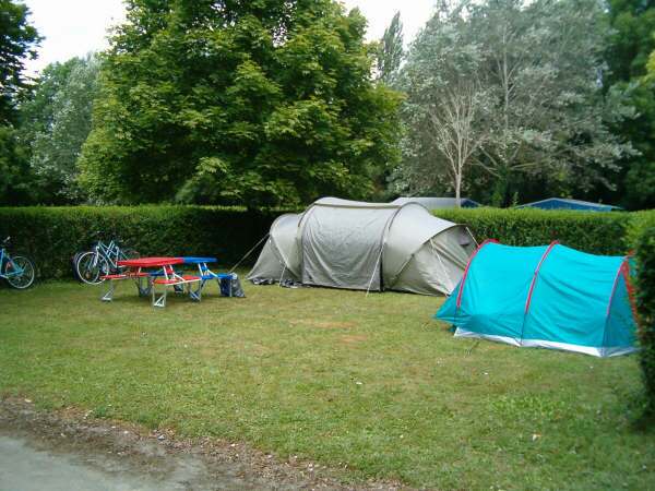 Flower Camping Du Port Caroline