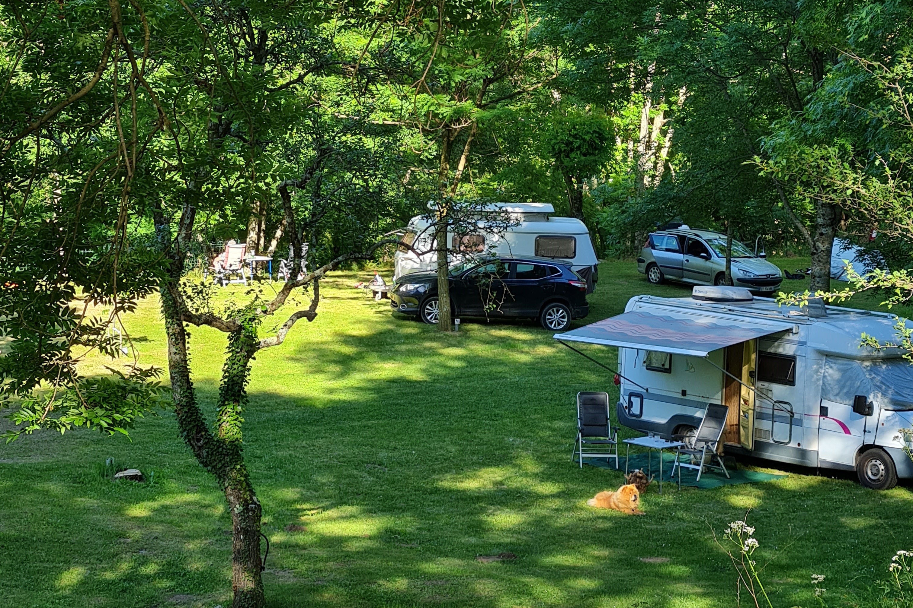 Camping Les Rives de l'Ardèche