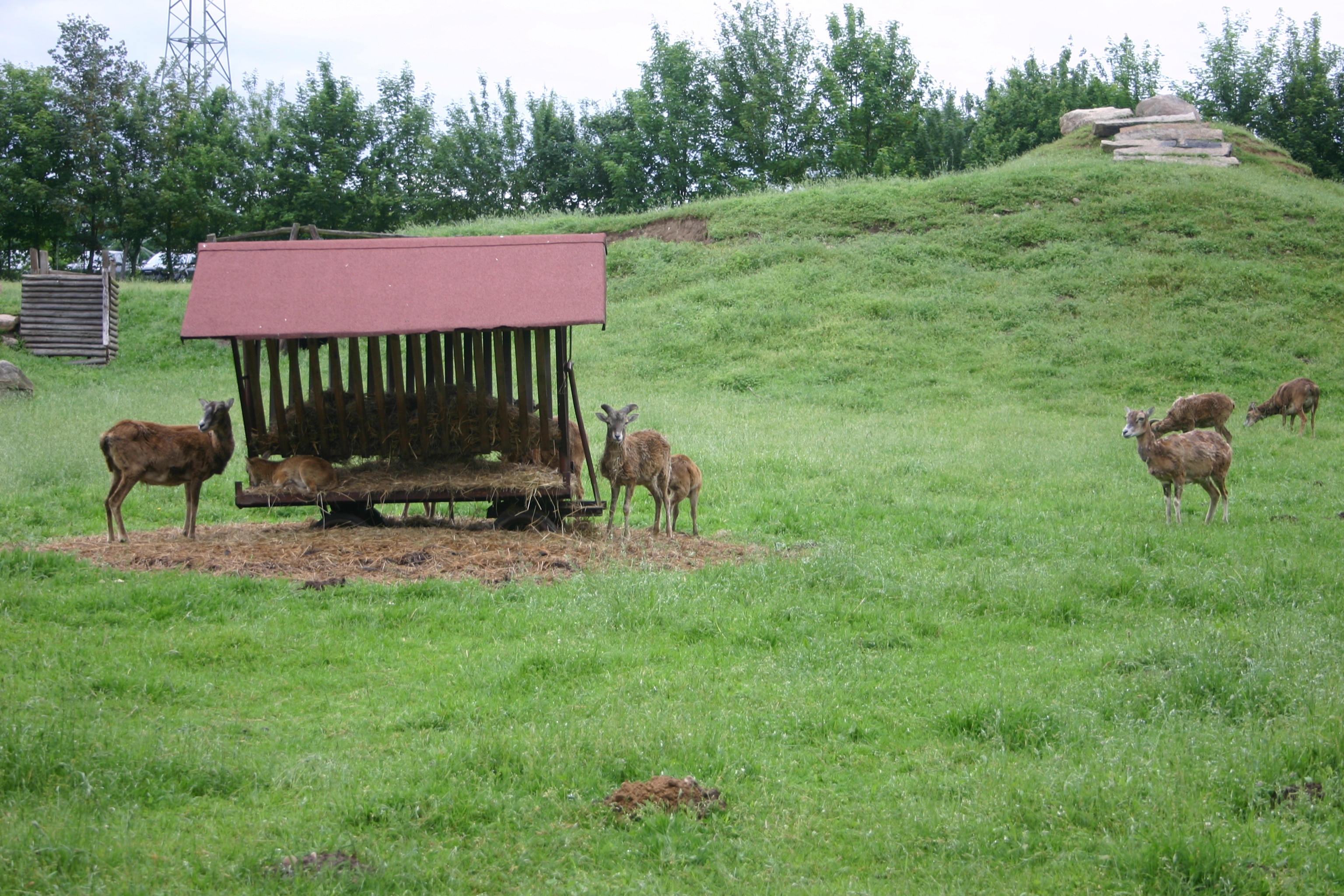 Freizeit- und Campingpark Thräna