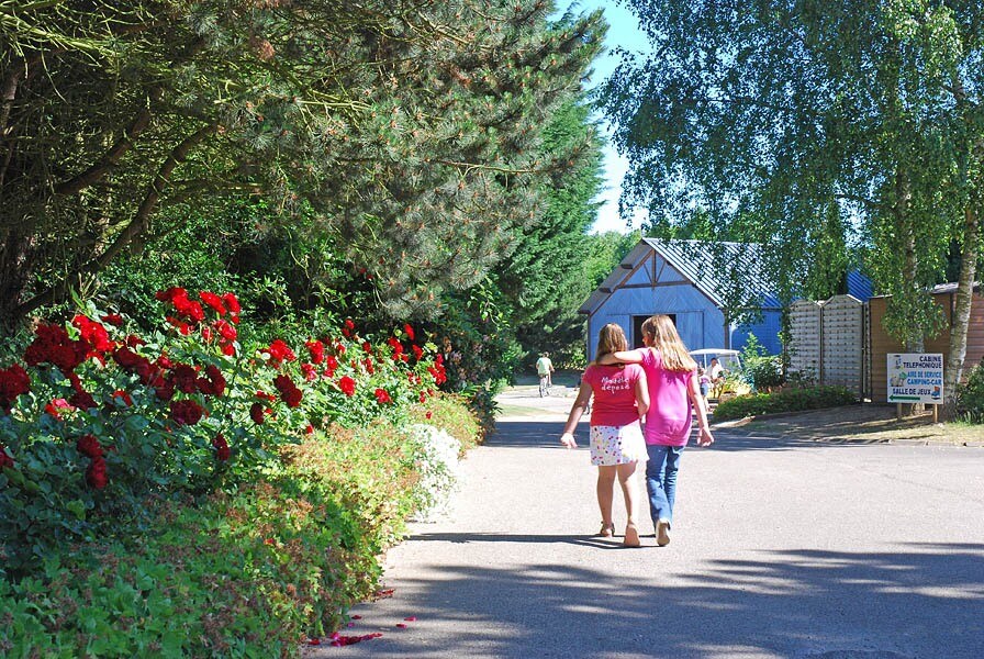 Flower Camping Dieppe Vitamín