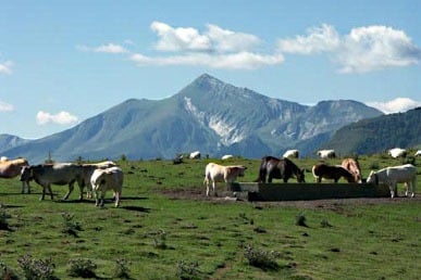 Camping du Pont d'Abense