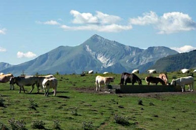 Camping du Pont d'Abense