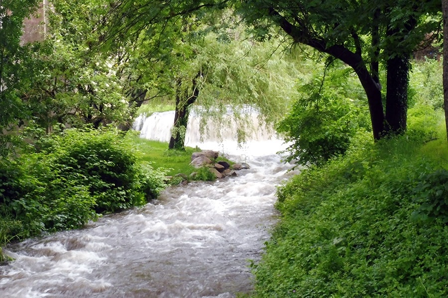 Camping Le Moulin du Roy