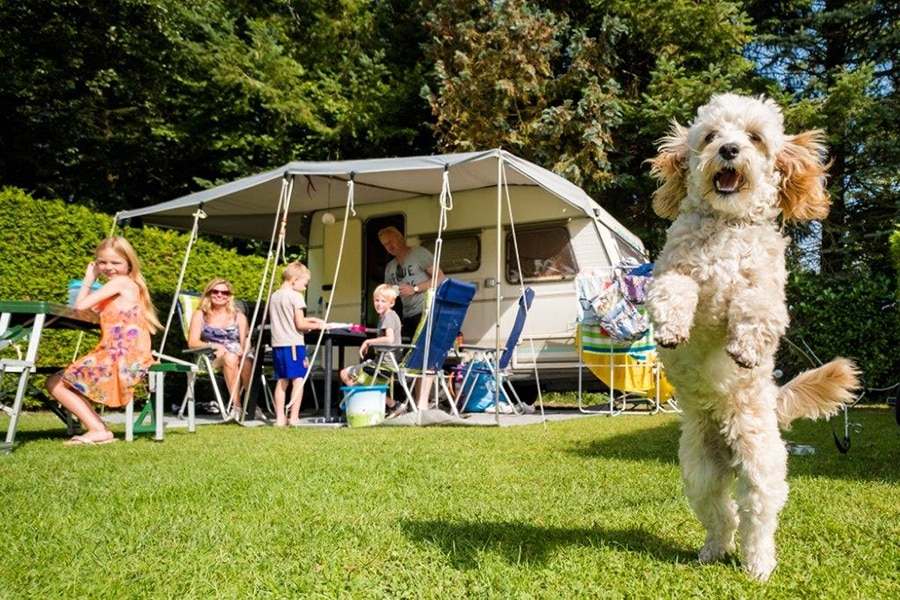 Camping De Vossenberg