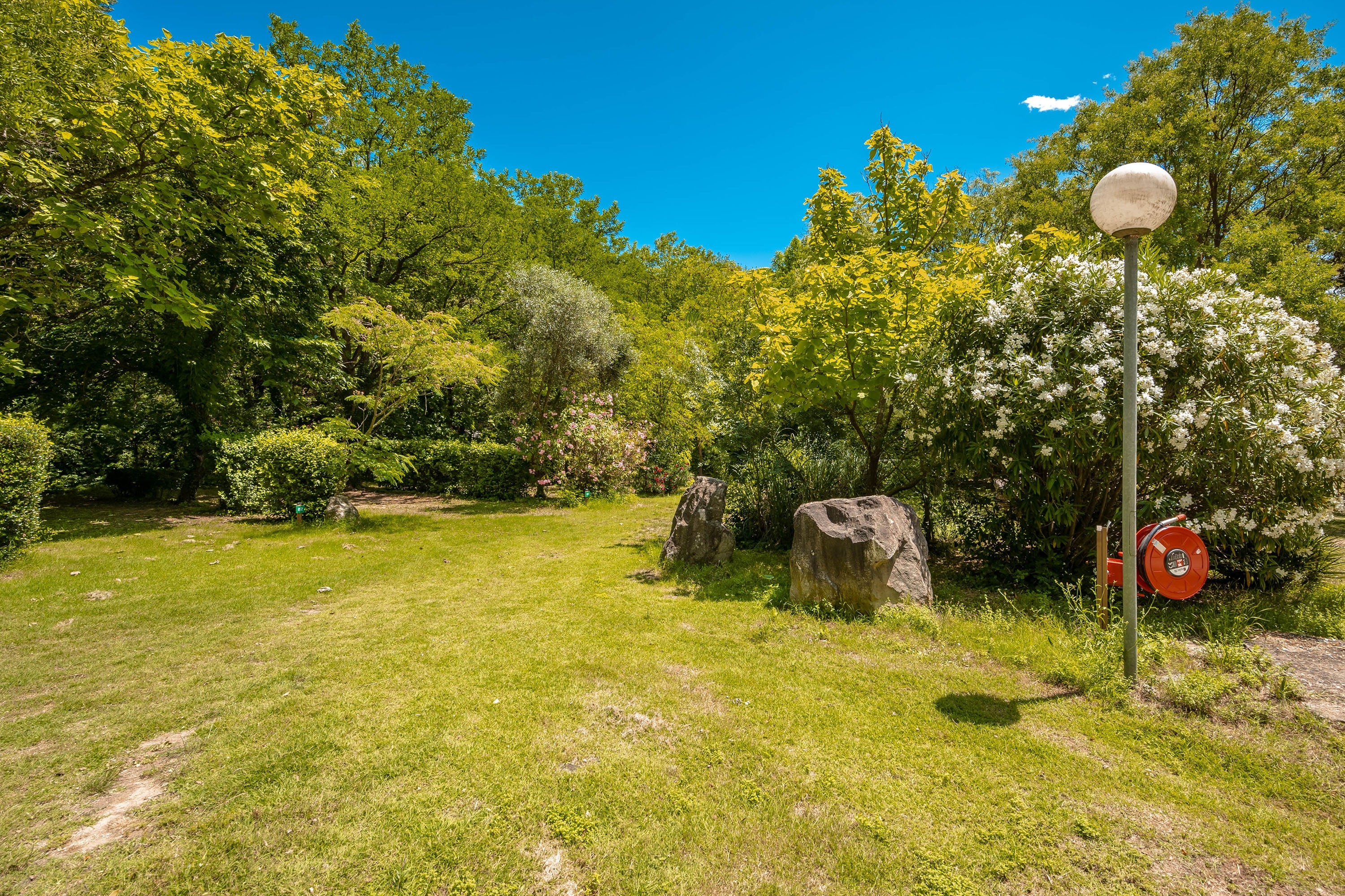 Flower Camping Les Tomasses