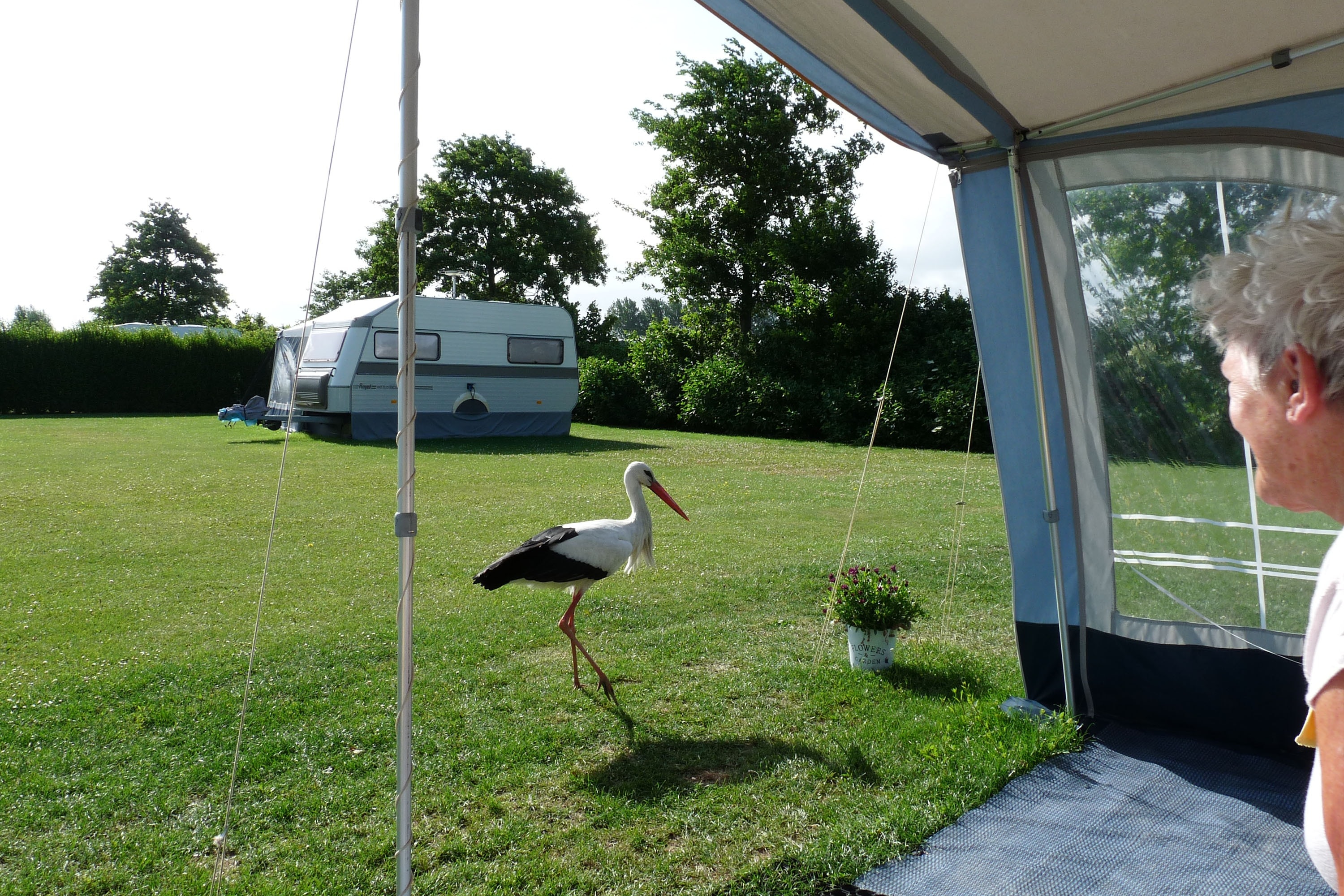 Camping Den Molinshoeve