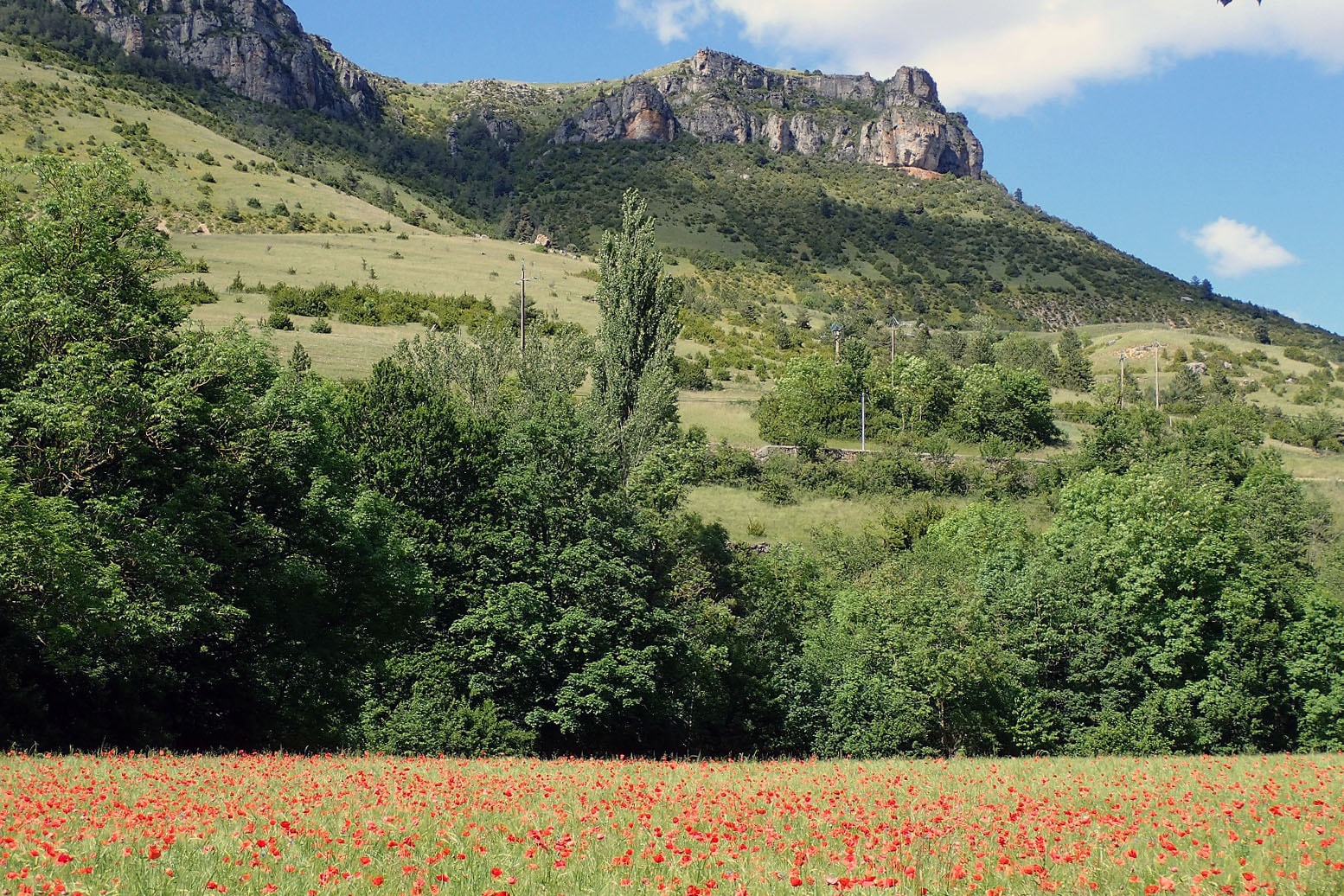 Camping La Cascade/Cevennes
