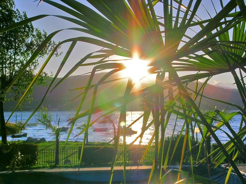 DKamping Village, ex International Camping Ispra