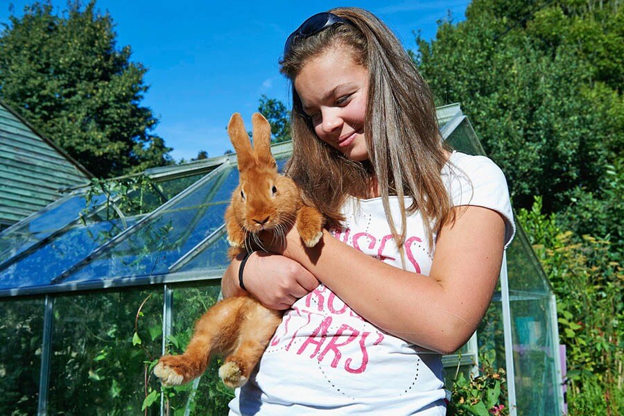 Camping De la Ferme de Croas-Men