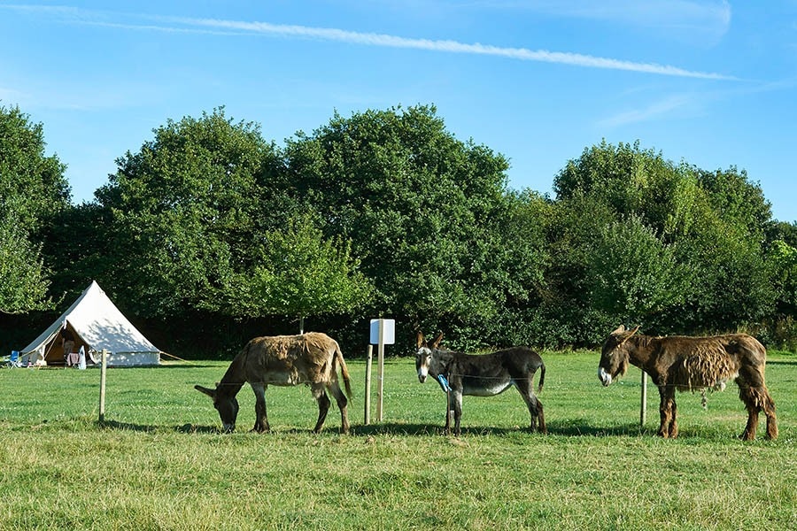 Camping De la Ferme de Croas-Men