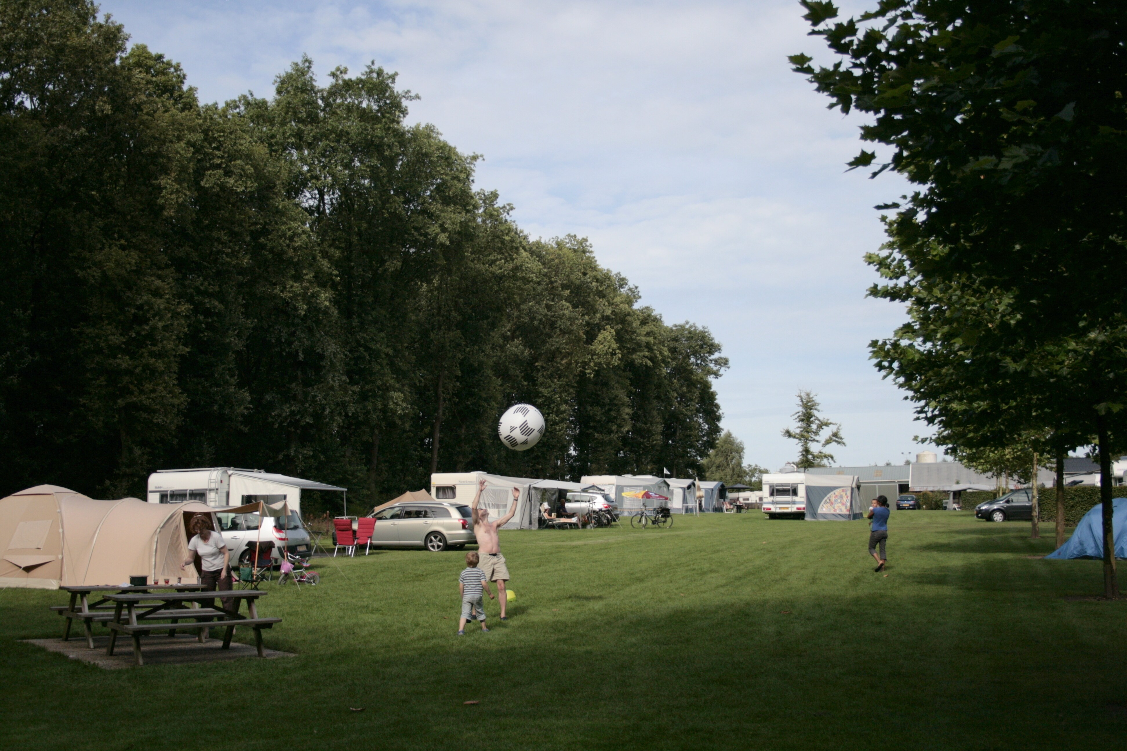 Nederrijkswald BV