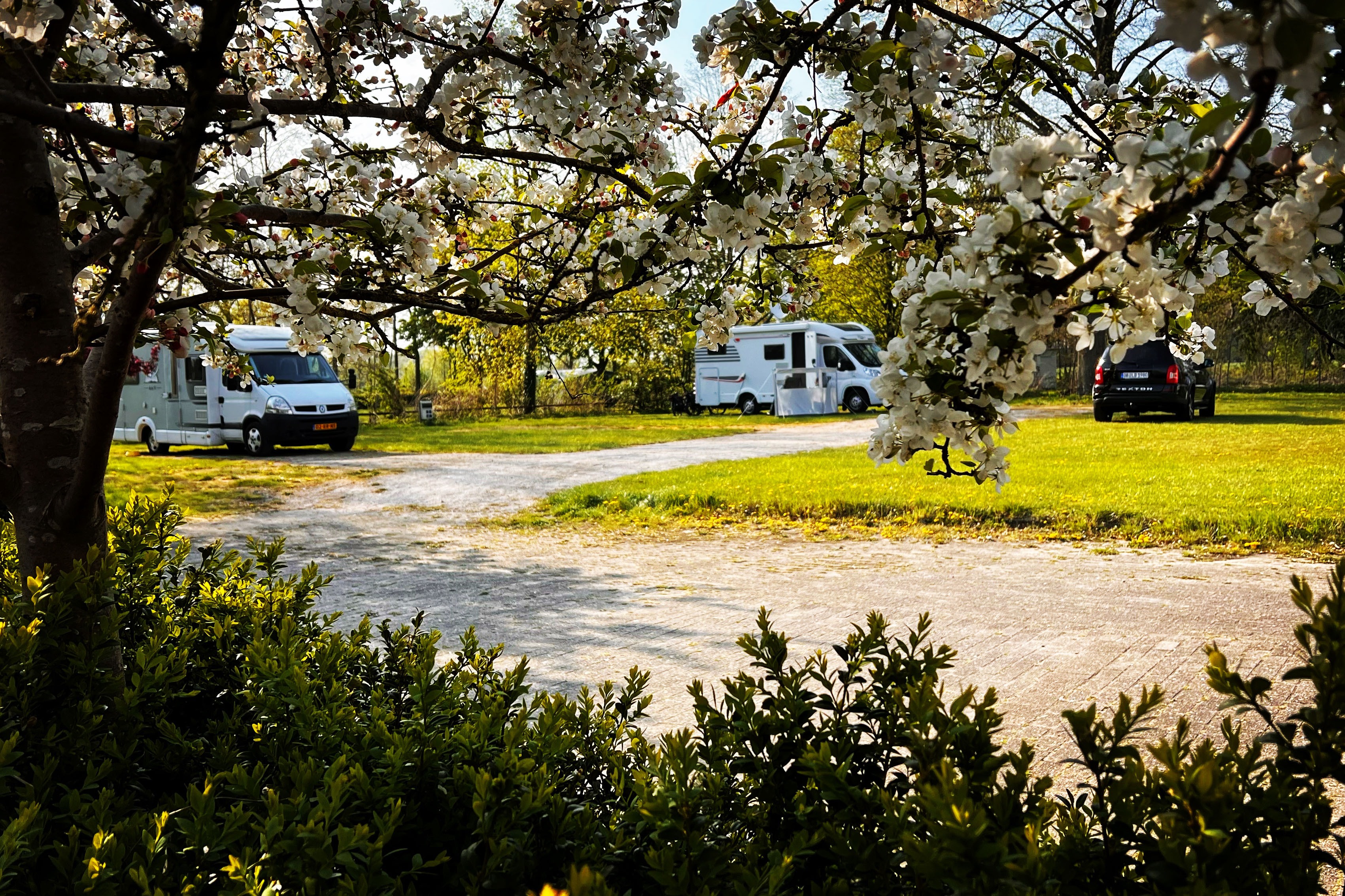 Camping Groot Antink