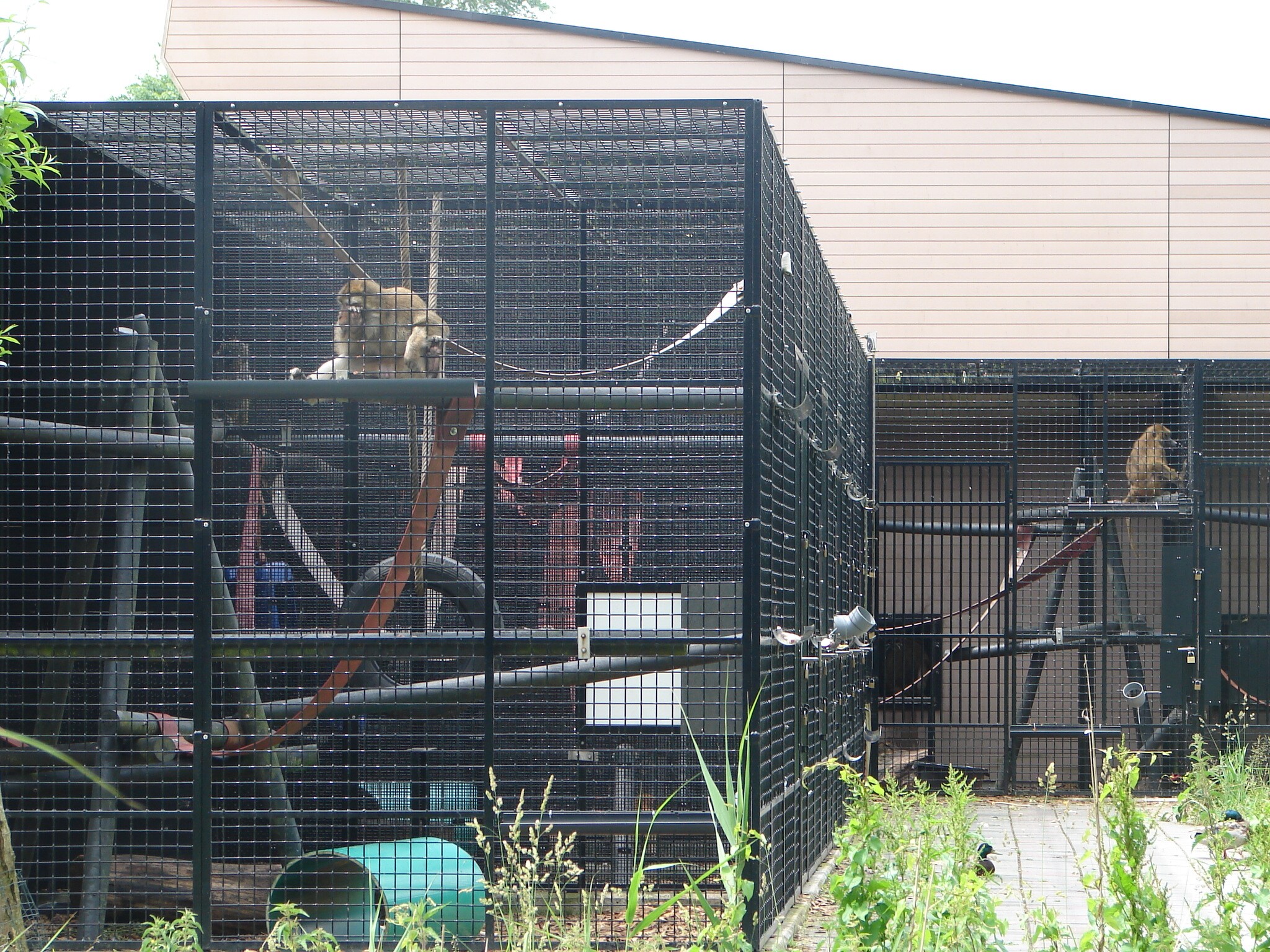 Natuurcamping De Kemphaan