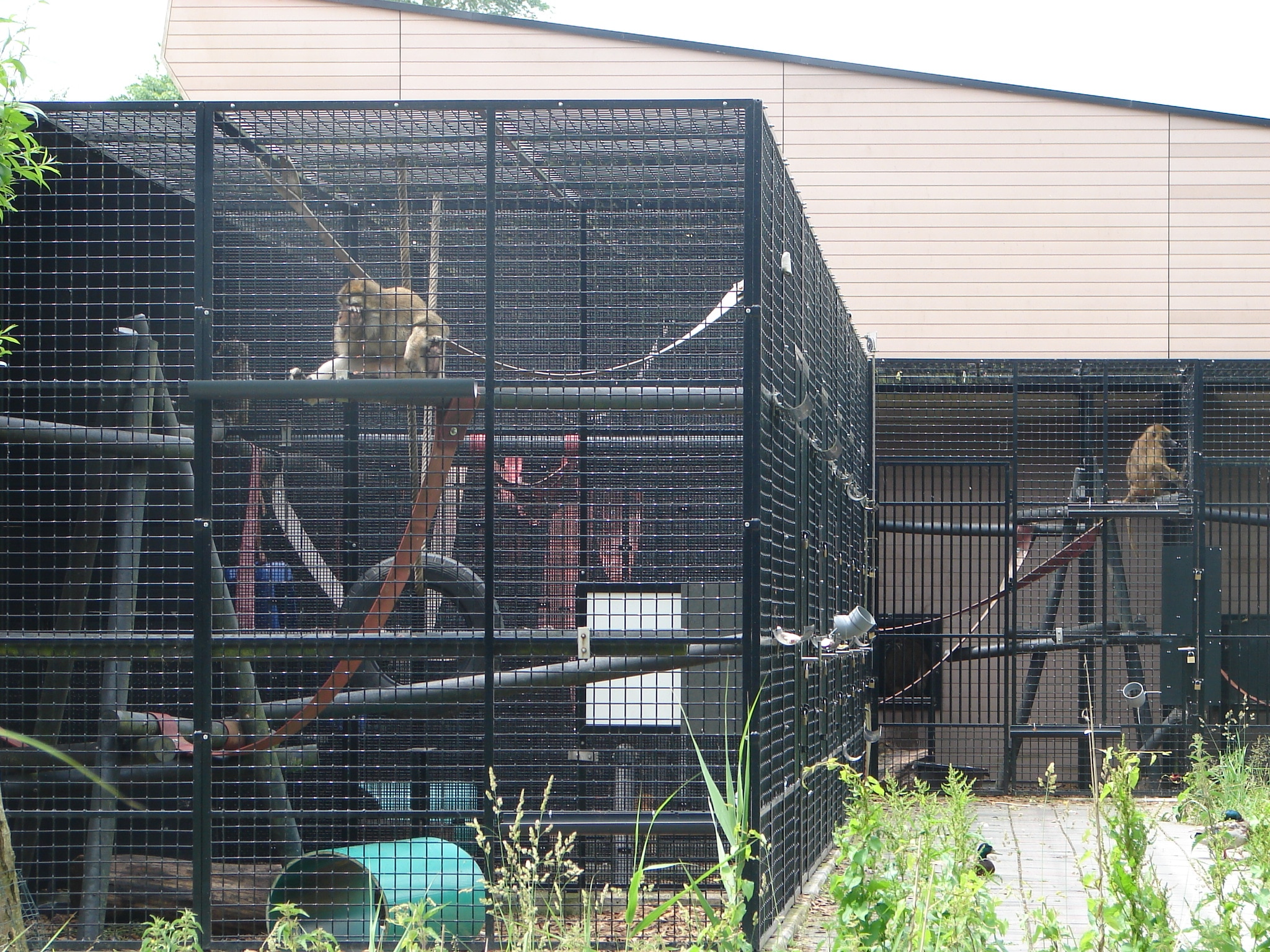 Natuurcamping De Kemphaan