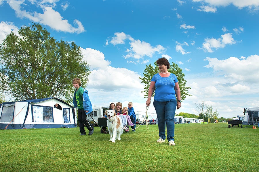 Camping Boerderij de Boterbloem