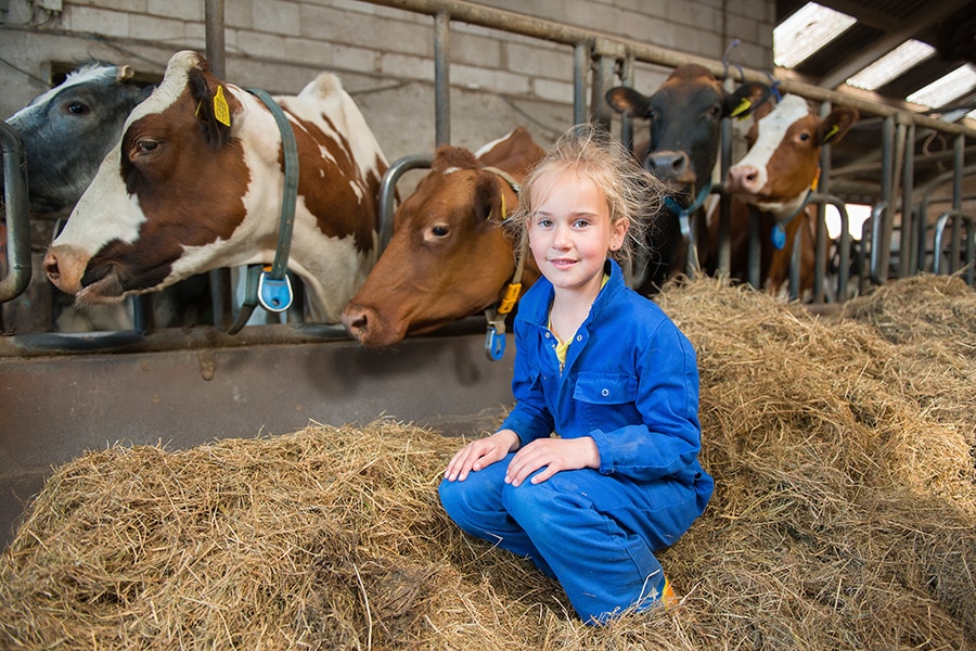 Camping Boerderij de Boterbloem
