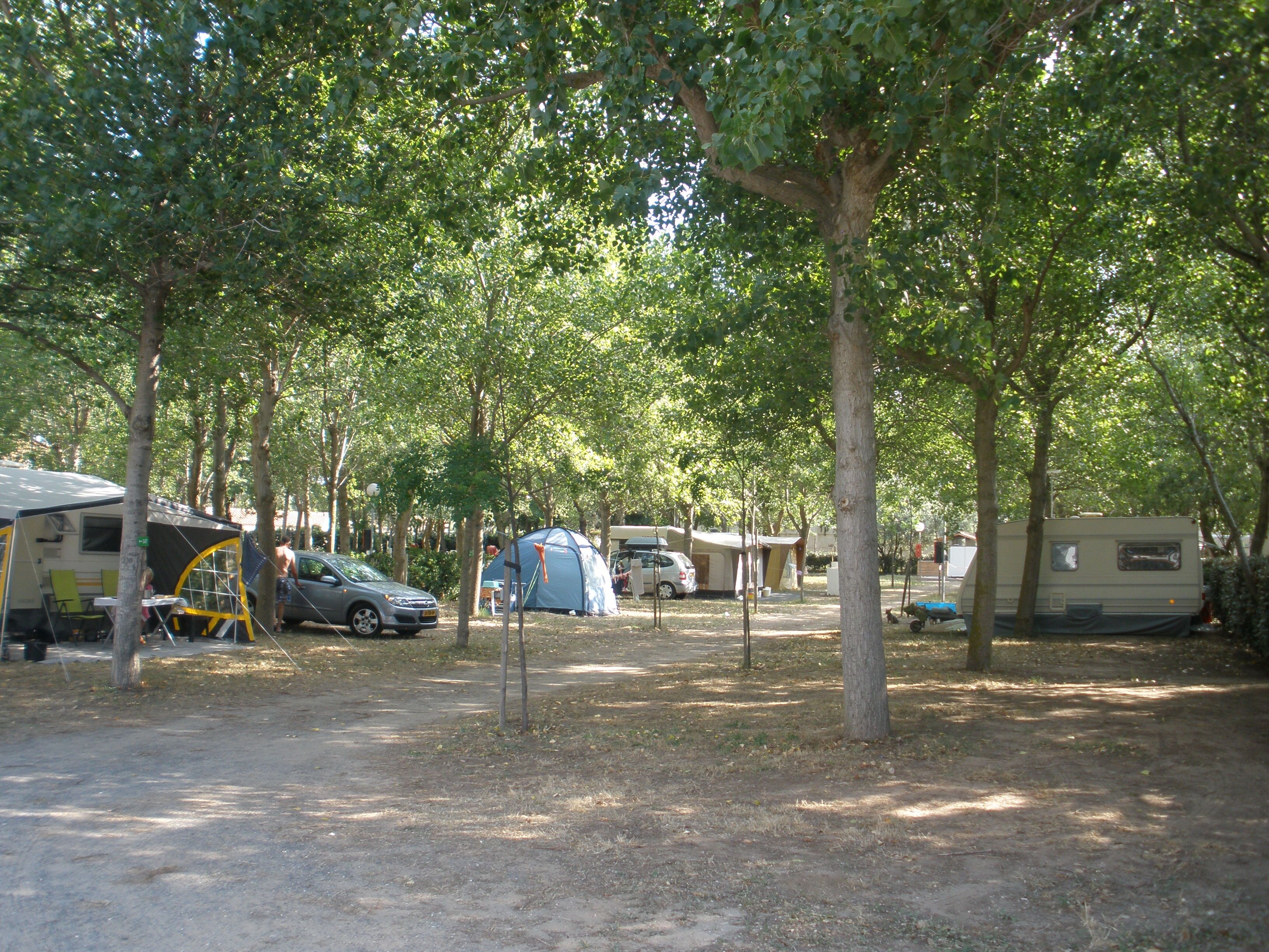 Camping Paradis Robinson