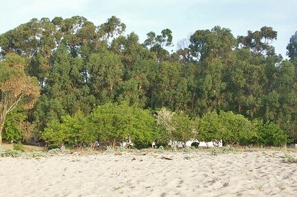 Camping Les Eucalyptus