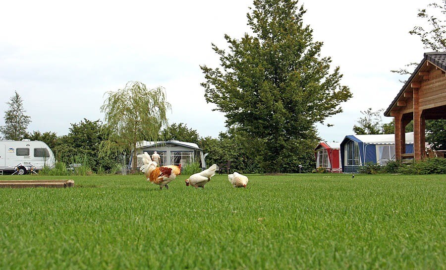 Camping De Hulsdonken