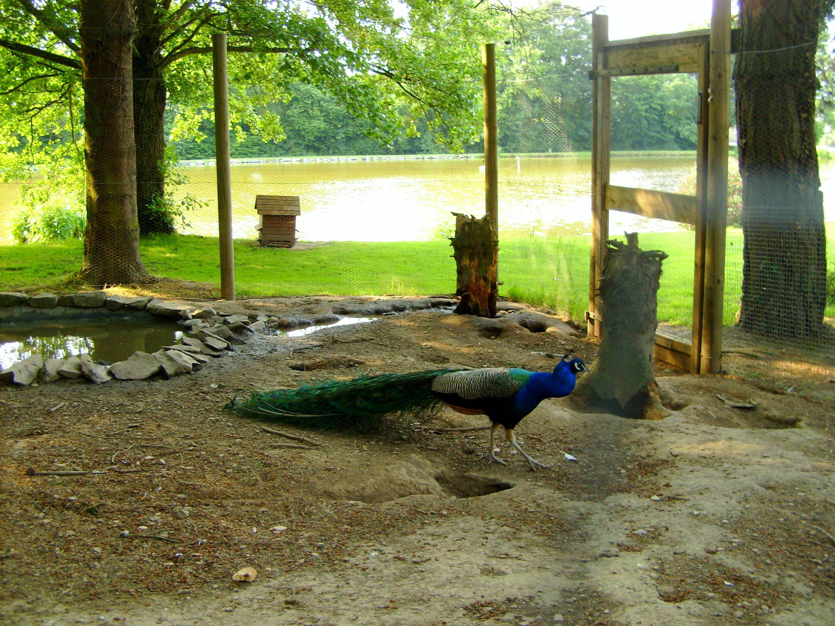 Camping L'Escapade