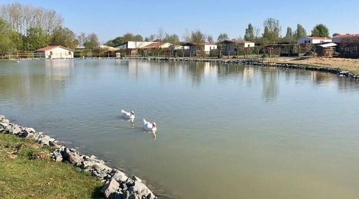 Camping Paradis de la Motte