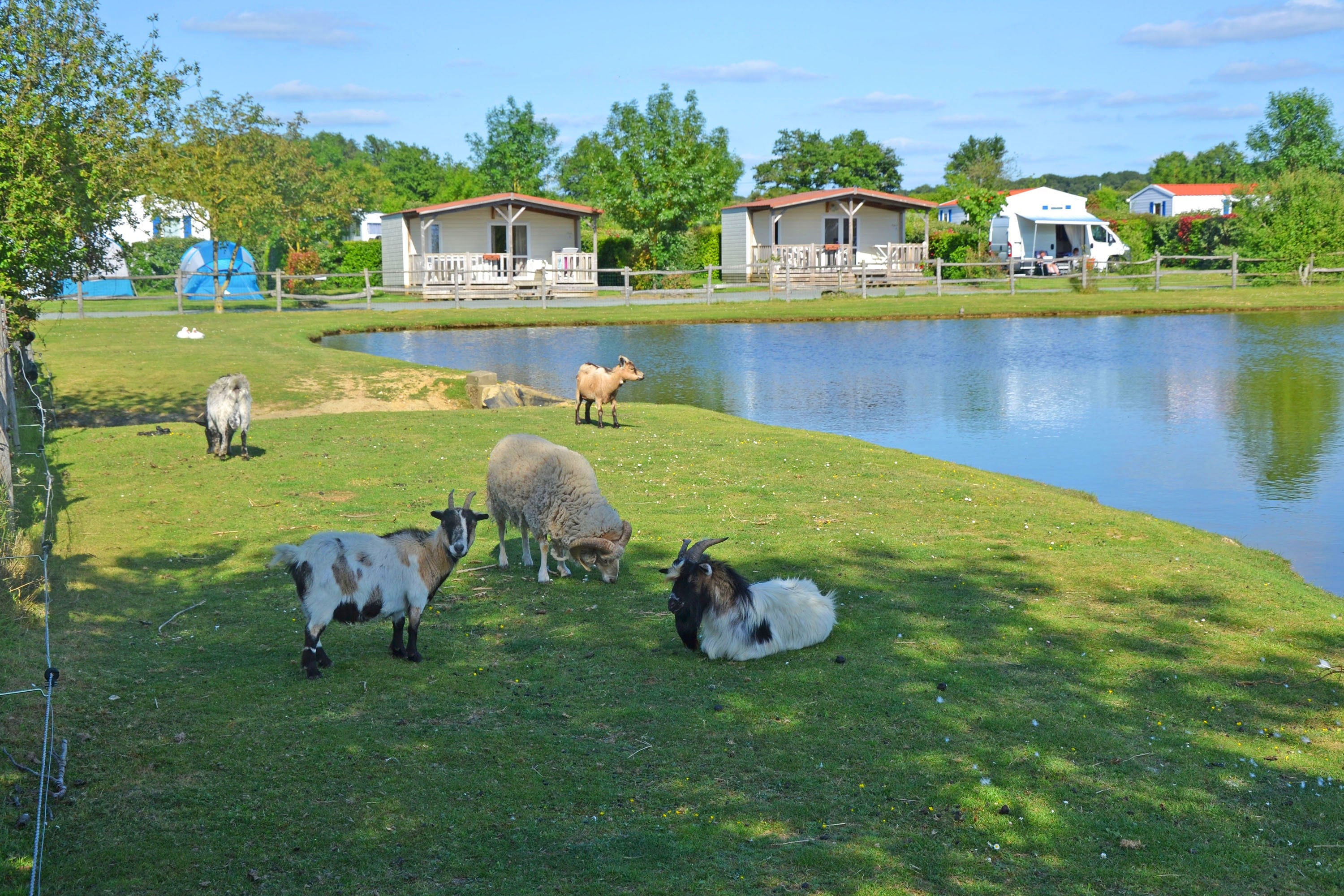 Camping Paradis de la Motte