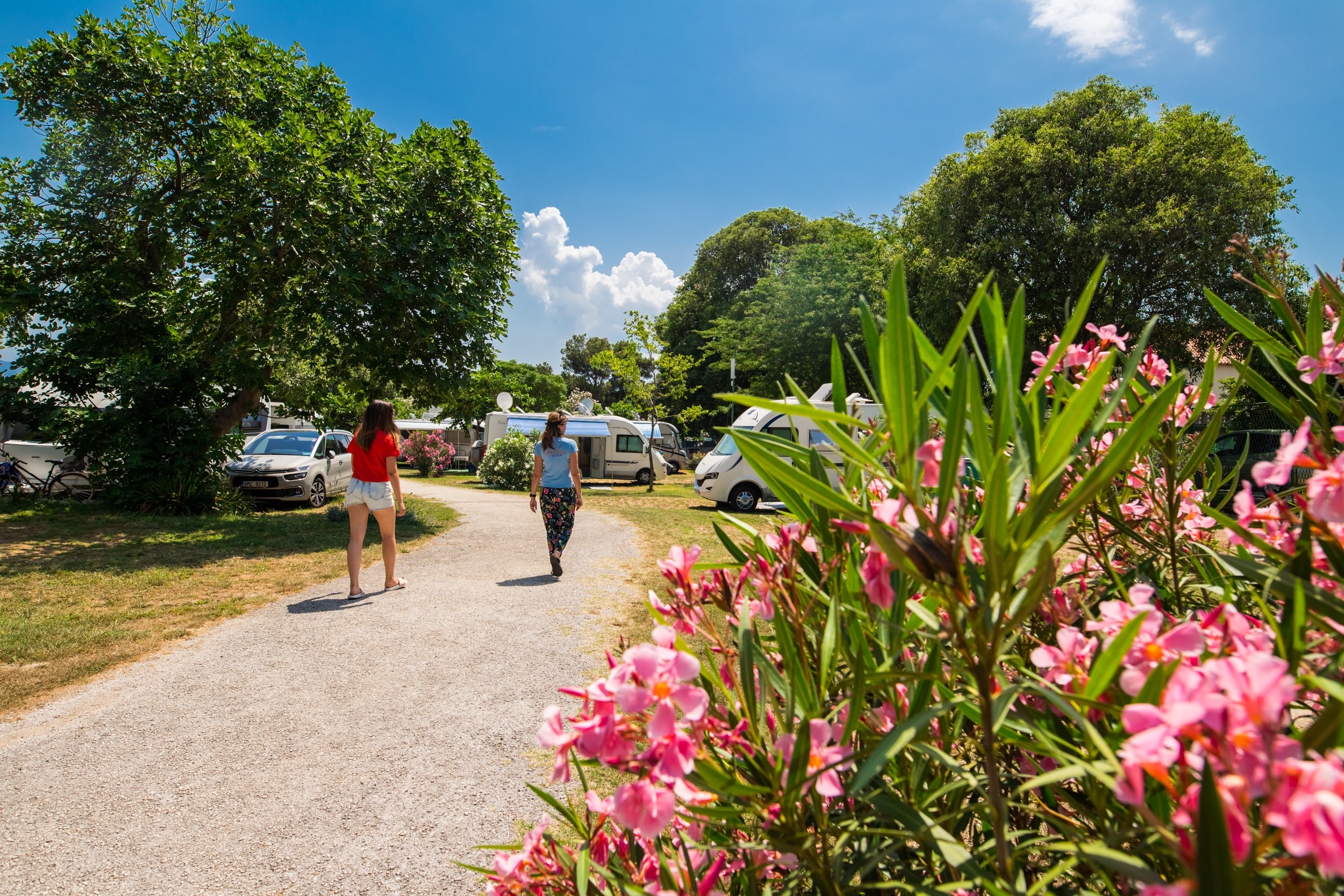 Camping Viter