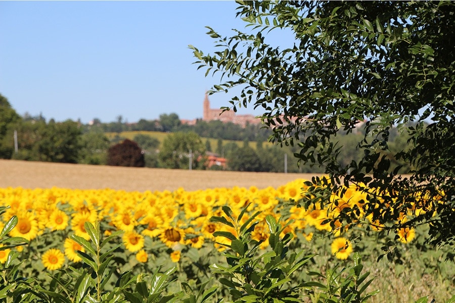 Camping Naturiste Les Aillos