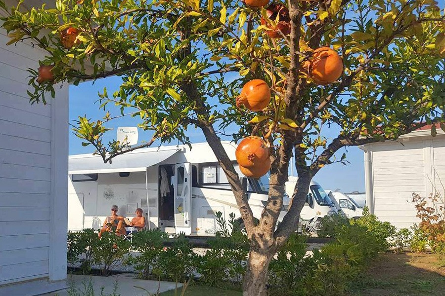 Agricampeggio Alessandra