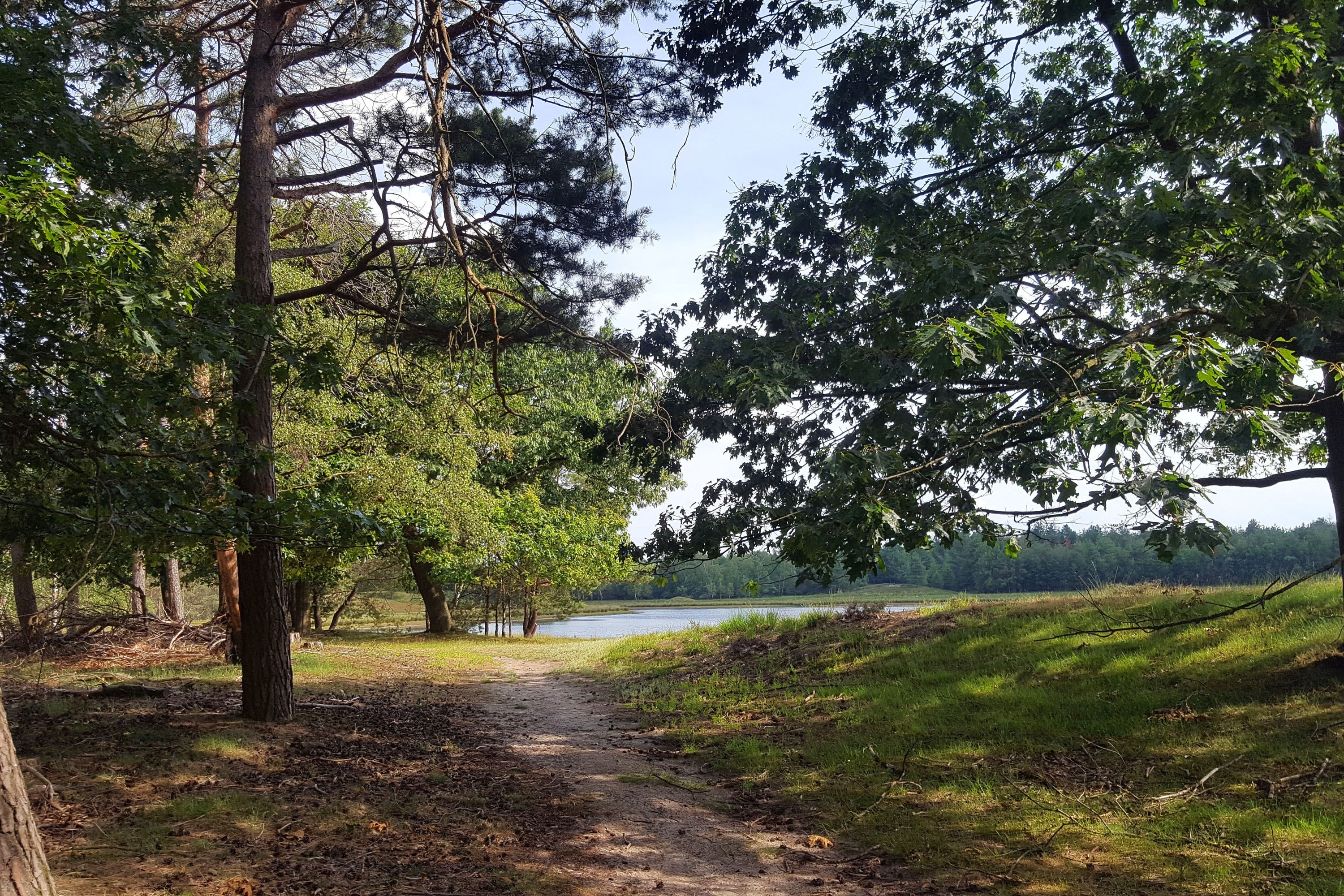 Camping De Somerweij