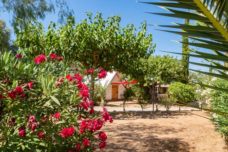 Camping Paradis L'Orangeraie
