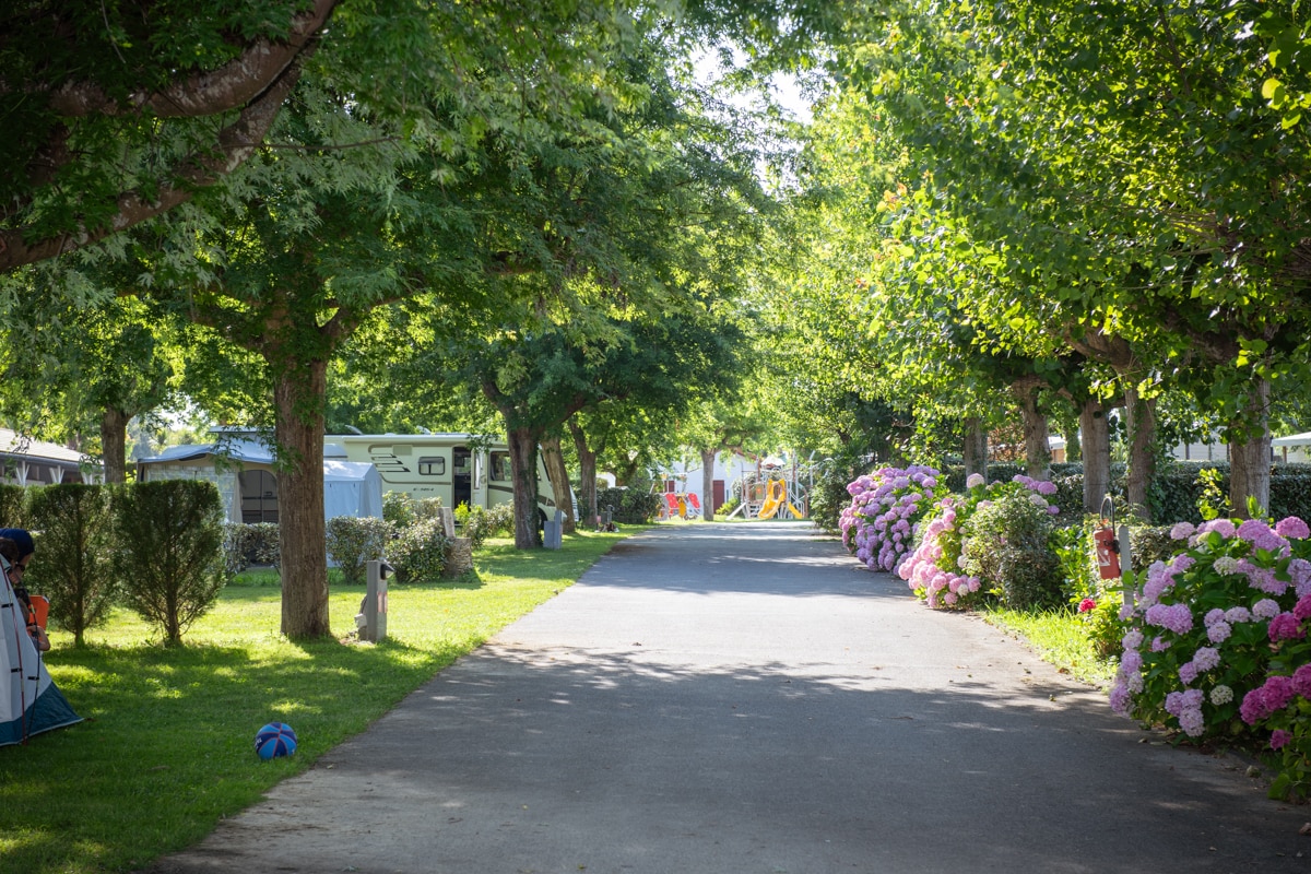 camping La Ferme des 4 Chênes